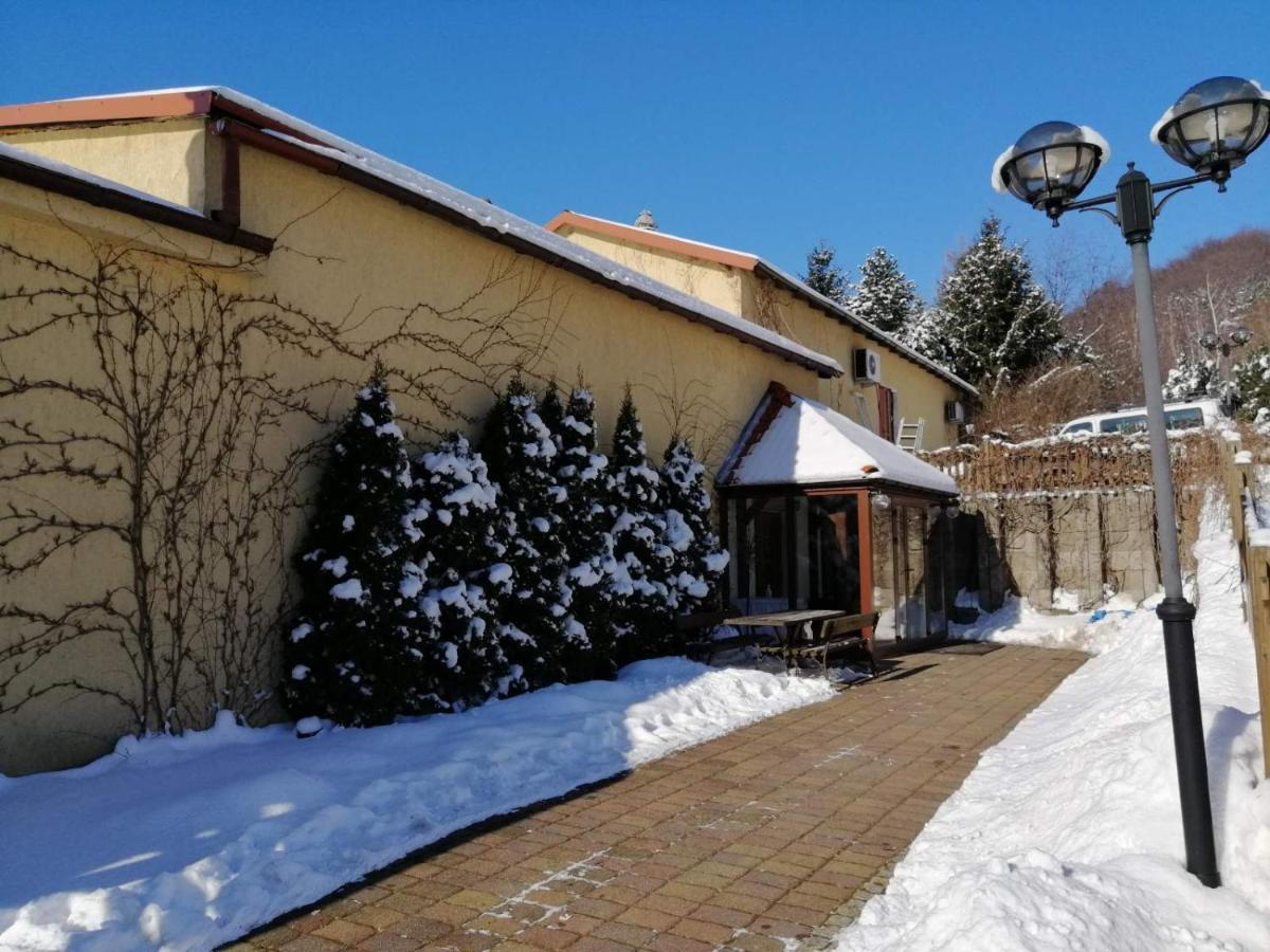 Auberge de jeunesse Zielone Wzgorze à Wałbrzych Extérieur photo