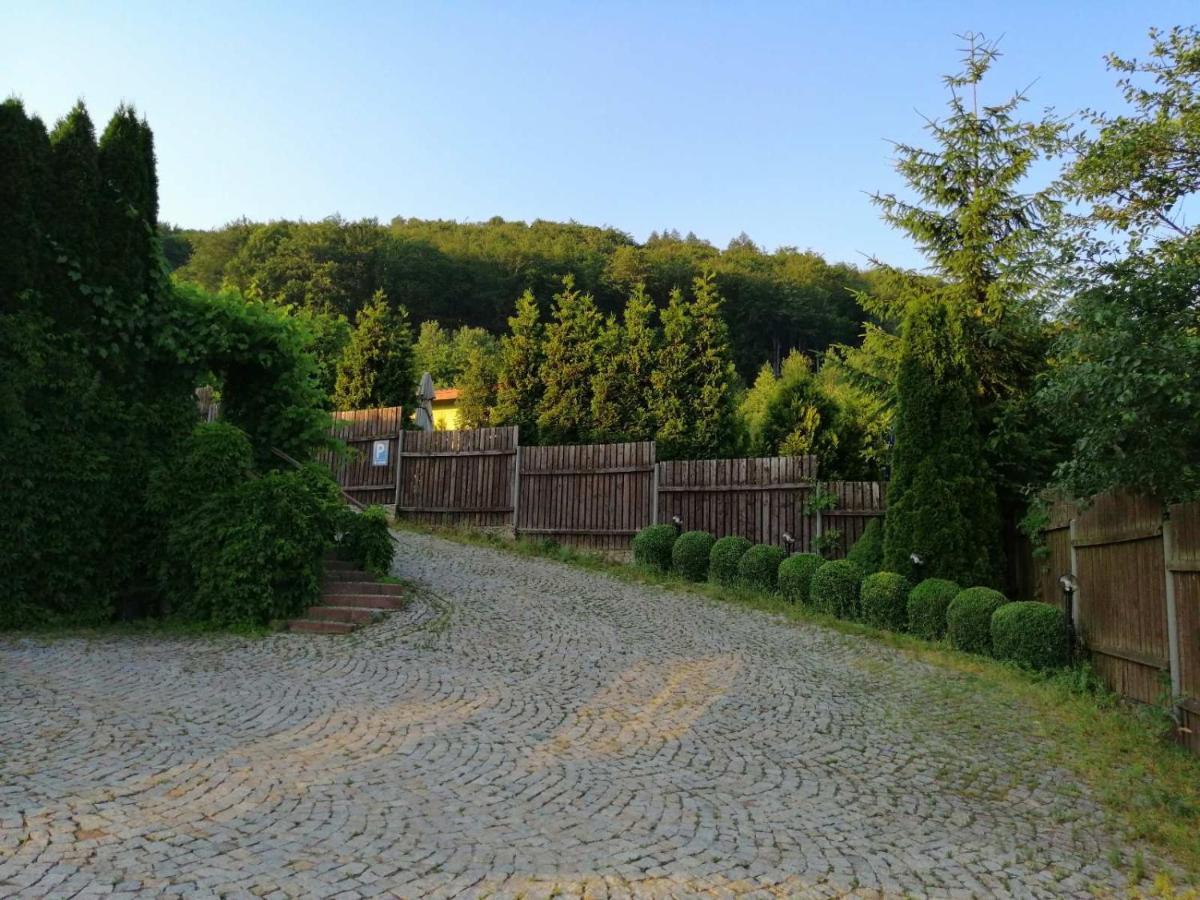 Auberge de jeunesse Zielone Wzgorze à Wałbrzych Extérieur photo